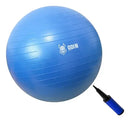 Bola Pilates Suiça Yoga Abdominal Gym Ball 65cm Bomba Cor Azul