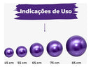 Kit 2 Suporte Bola Suiça Pilates Parede Reforçado Resistente