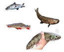 Redes De Pesca Malha 4 (4cm Entre Nós) Fio 030 10 Metros Cor Transparente