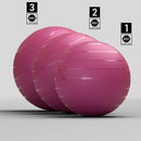 Bola De Ginástica E Pilates 65 Cm Tamanho 2 Cor Bordô
